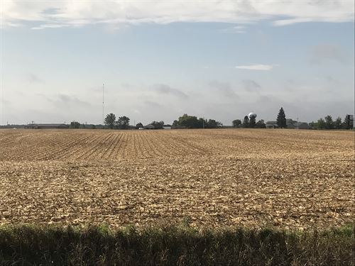 All Tillable Farm With New Tile : Estherville : Emmet County : Iowa