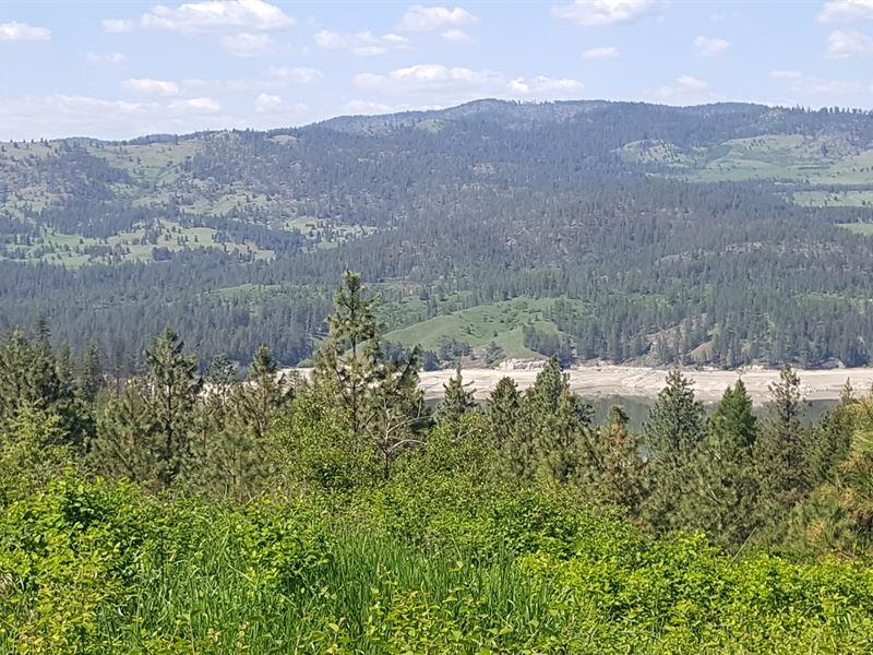 Acreage, Lake Roosevelt Access, Land for Sale in Washington, 177935