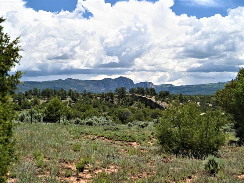 Laguna Vista 10 : Rutheron : Rio Arriba County : New Mexico