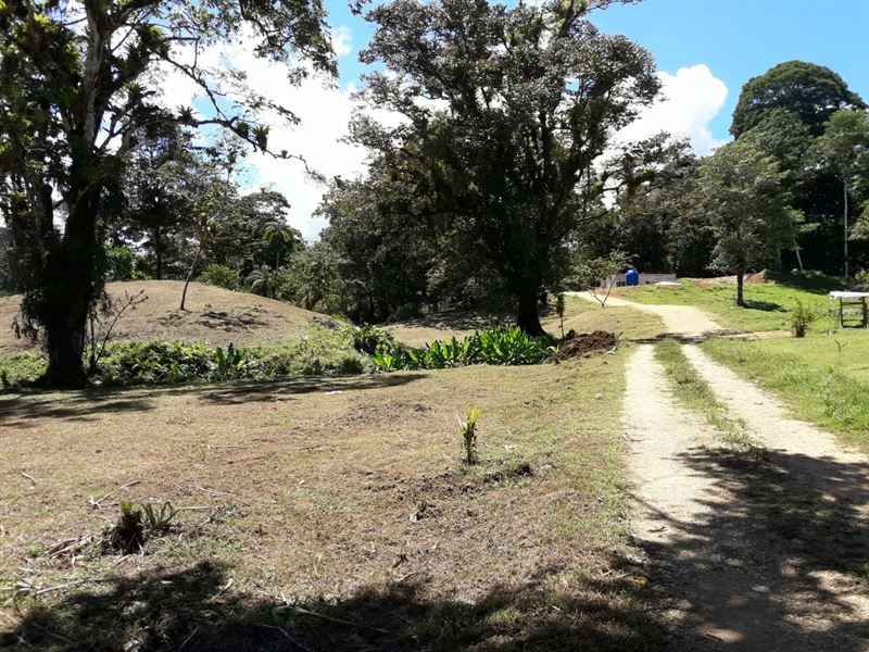 Sustainable Land, Bluff Beach Area : Panama