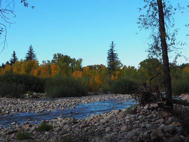 Mountain Property South Chama, NM Land for Sale in Chama, Rio Arriba