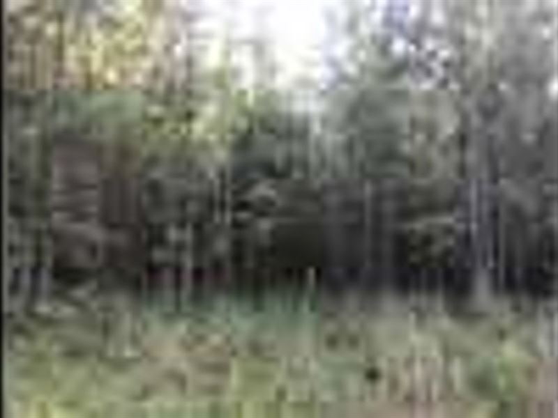 Excellent Investment Opportunity : Rutledge : Morgan County : Georgia