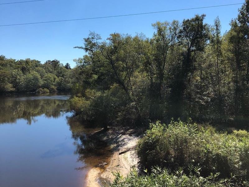 55 Acres Timberland Bulloch County Land for Sale in Brooklet, Bulloch