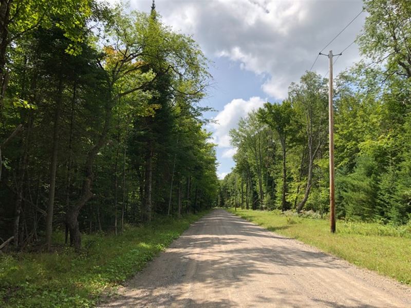 Ready To Build on Muskrat Brook : Ohio : Herkimer County : New York