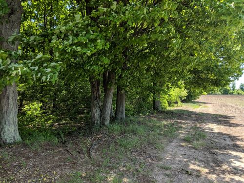 Farmland Near Lake Mighigan : Hesperia : Oceana County : Michigan
