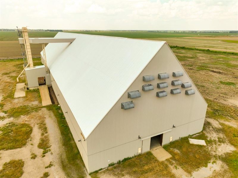 Golden Peanut Warehouse : Clarksdale : Coahoma County : Mississippi