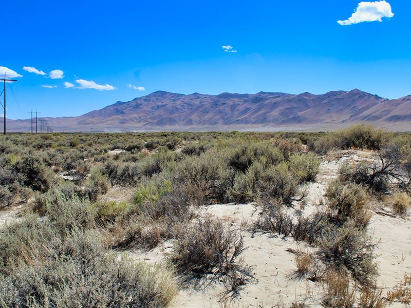 The Reno Solution : Herlong : Lassen County : California