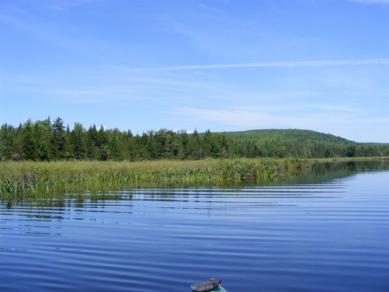 393 Acres Maine Land Oakfield, ME Land for Sale in Oakfield