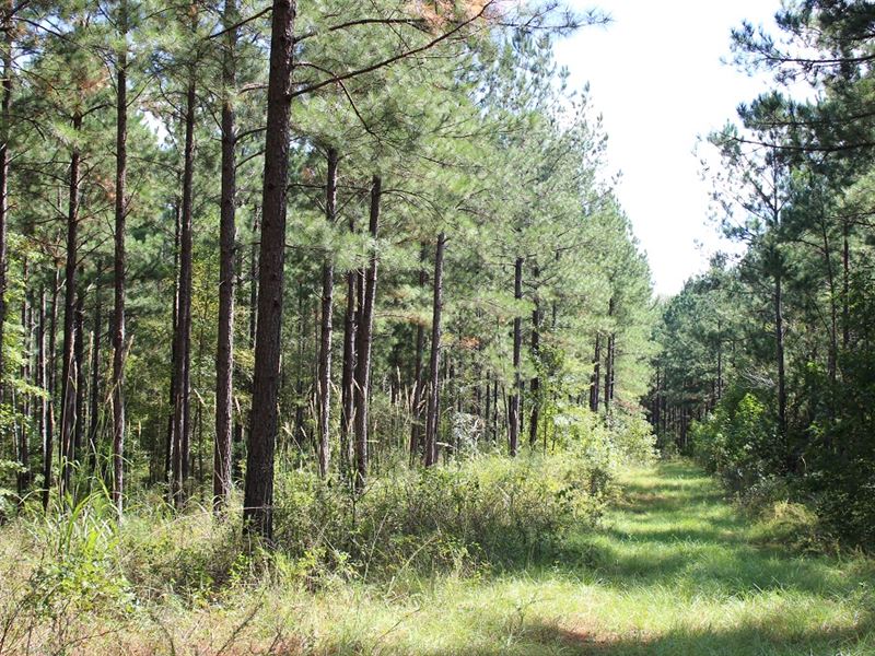 Recreational Investment : Forsyth : Monroe County : Georgia