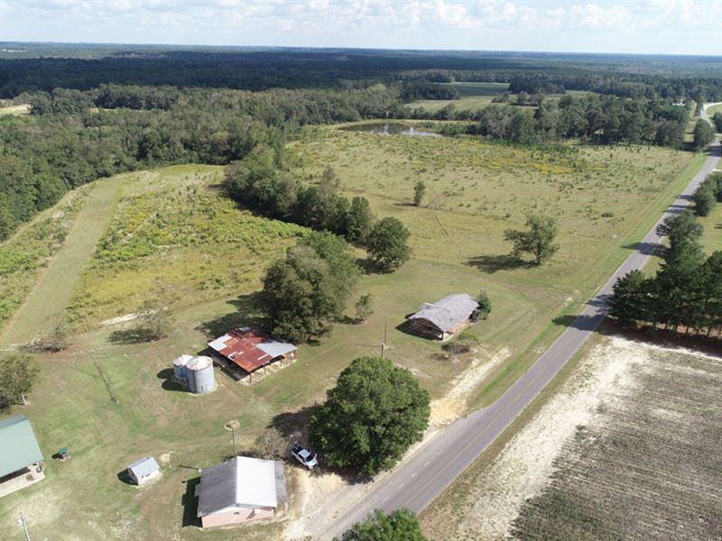 58 Acres With Pond, Pasture, Timber Land for Sale in Millen, Jenkins