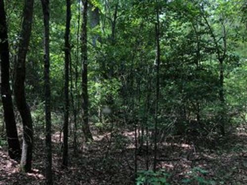 Beautiful Wooded Property : Saint Matthews : Calhoun County : South Carolina
