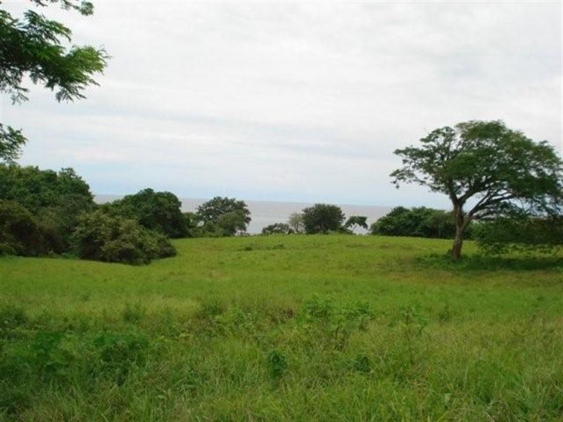 1 Hectares Close To Beach Pedasi : Panama
