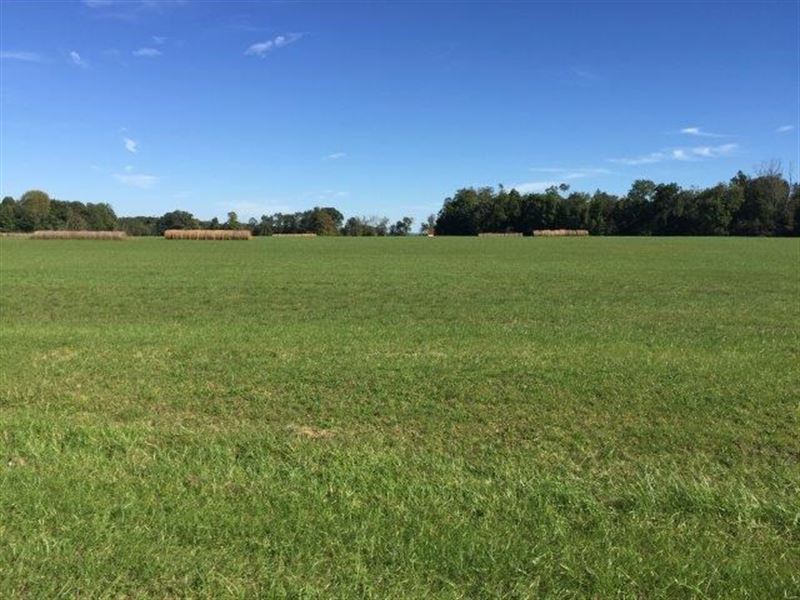 Acreage Gainesboro Hwy Putnam : Cookeville : Putnam County : Tennessee