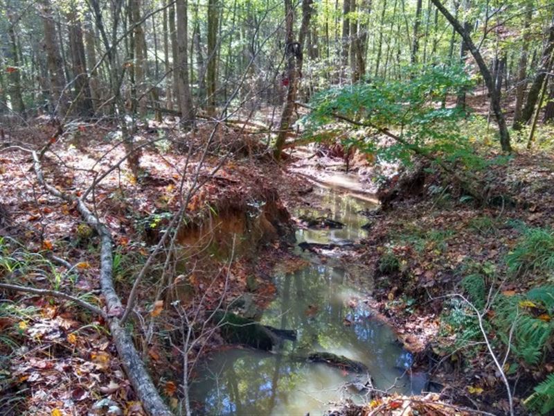 54.2 Acres, Fairfield County : Winnsboro : Fairfield County : South Carolina