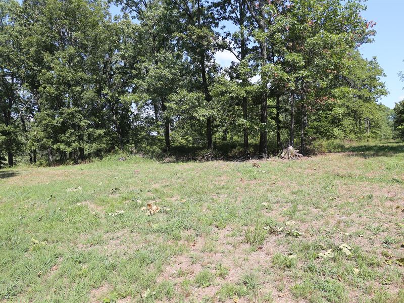 West Plains, Mo, Residential Lots : West Plains : Howell County : Missouri