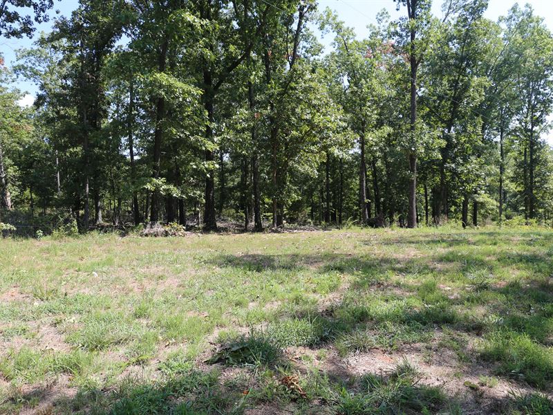 West Plains, Missouri Residential : West Plains : Howell County : Missouri