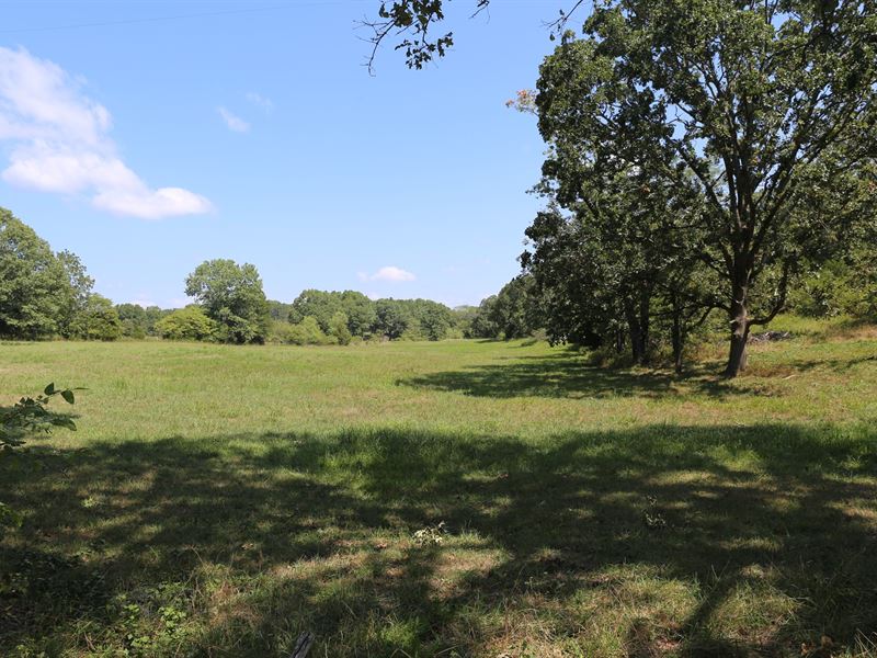 West Plains, Missouri Residential : West Plains : Howell County : Missouri