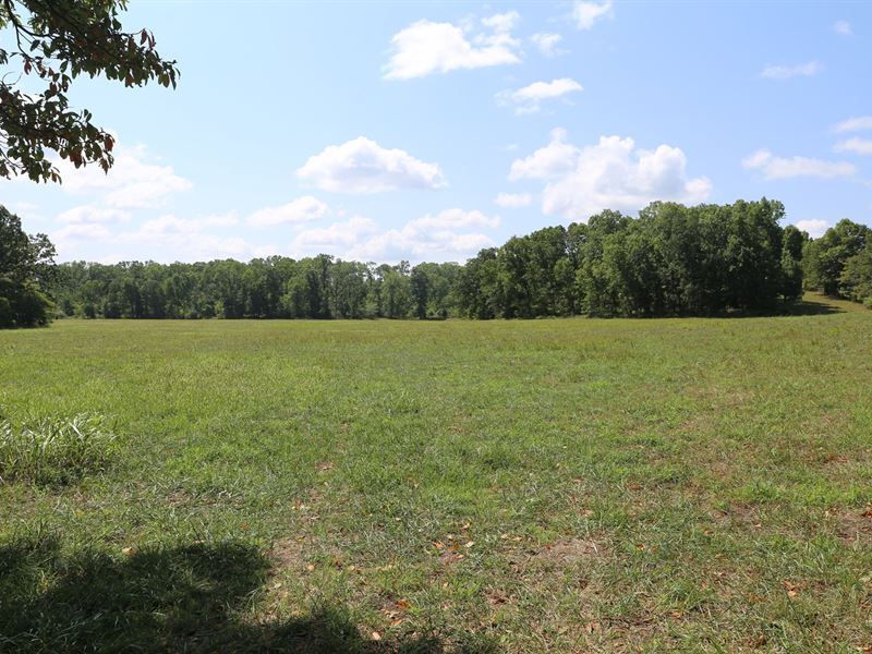 West Plains, Missouri Residential : West Plains : Howell County : Missouri