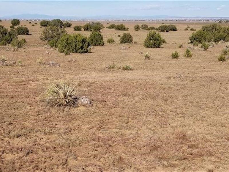 Moriarty NM 54 Acres Manufactured : Moriarty : Torrance County : New Mexico