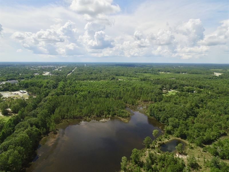Ideal Recreational Tract with Pond : Jesup : Wayne County : Georgia