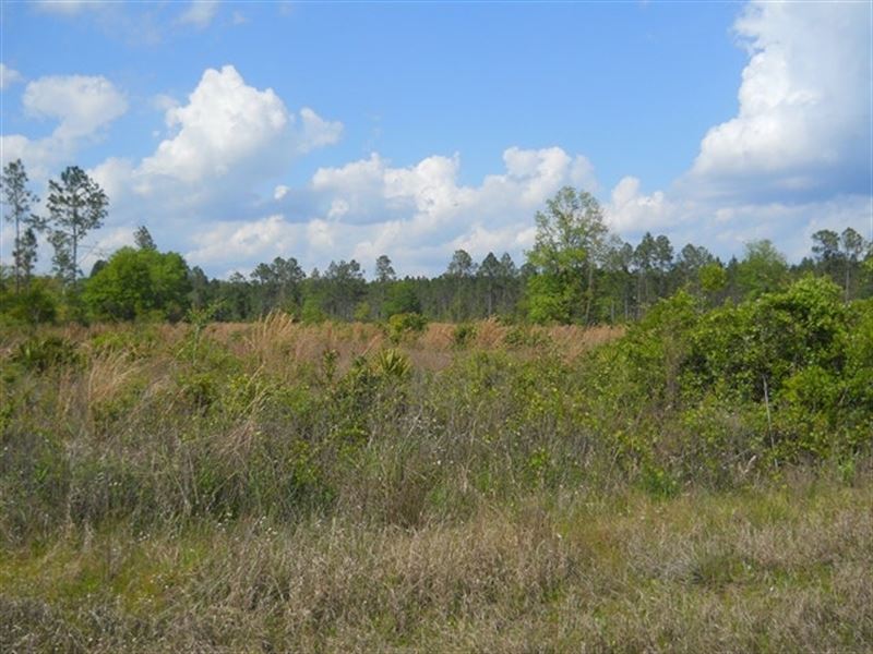 Comp 144A-Cr 229 N Raiford : Raiford : Union County : Florida
