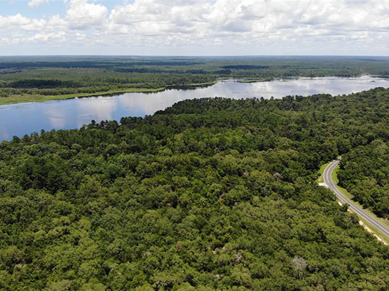 Ocklawaha River Preserve : Fort Mc Coy : Marion County : Florida
