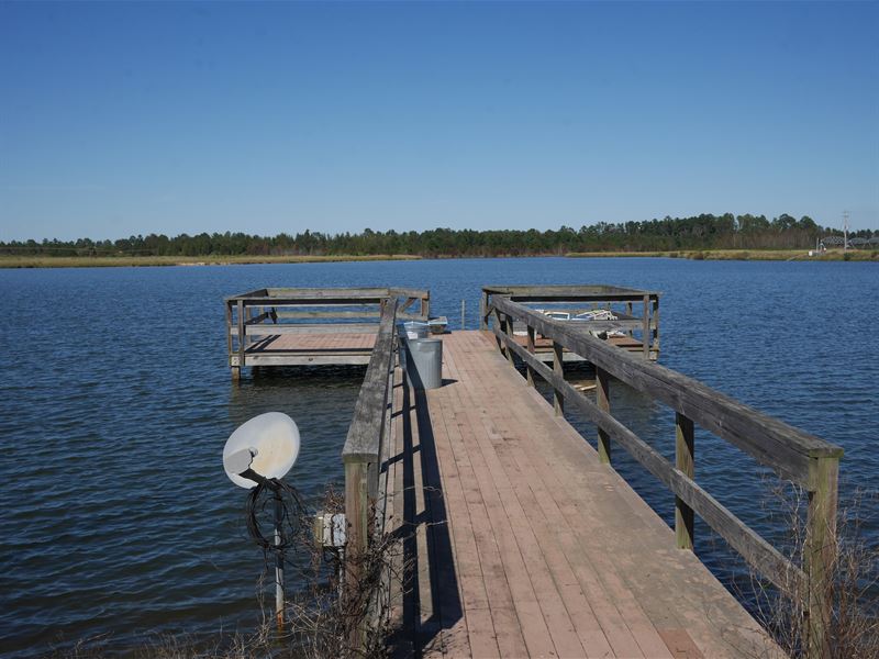 Lake Church Farm Tract 2 Land for Sale in Metter, Candler County