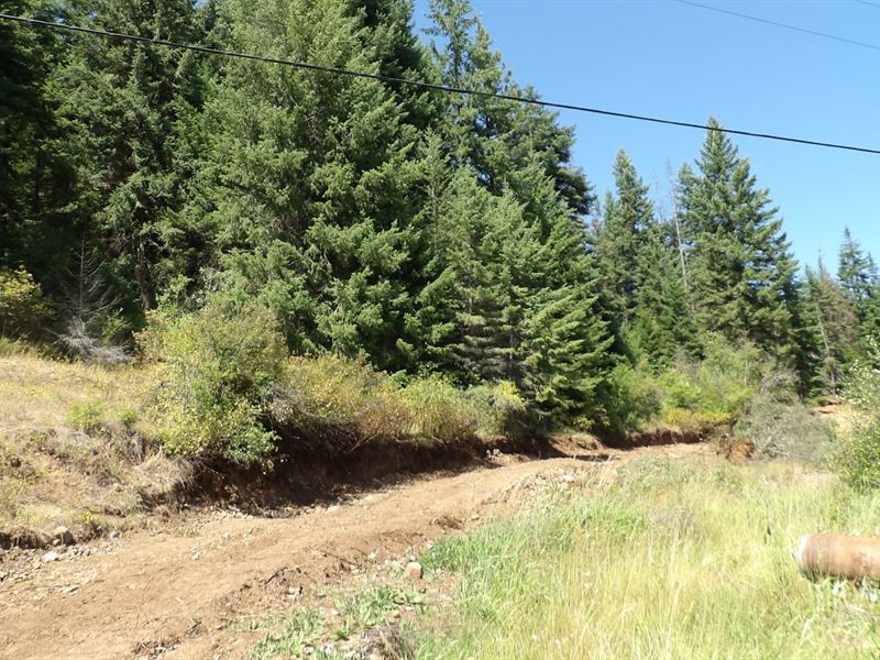 Wooded Land Possible Commercial : Weippe : Clearwater County : Idaho