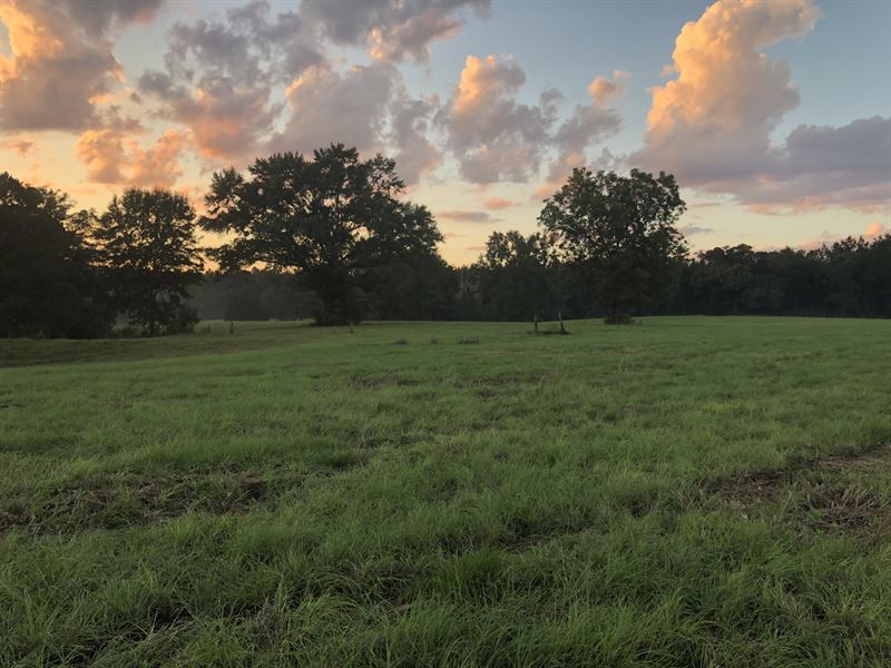 Burnt Corn Beauty : Peterman : Monroe County : Alabama