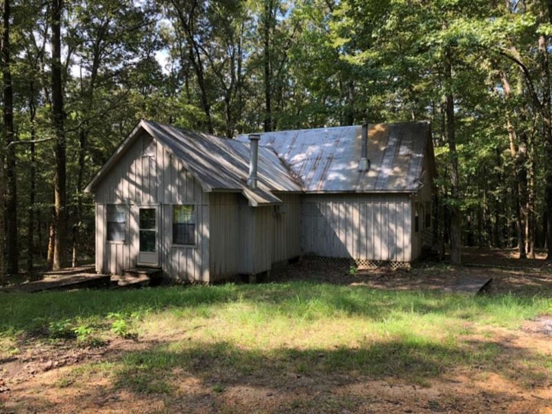 10 Acres with A Cabin in Carroll CO : Mc Carley : Carroll County : Mississippi