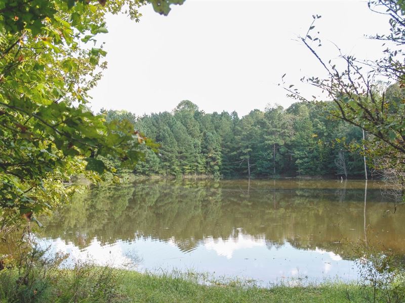 Springville, Tennessee Henry County Land for Sale in Springville