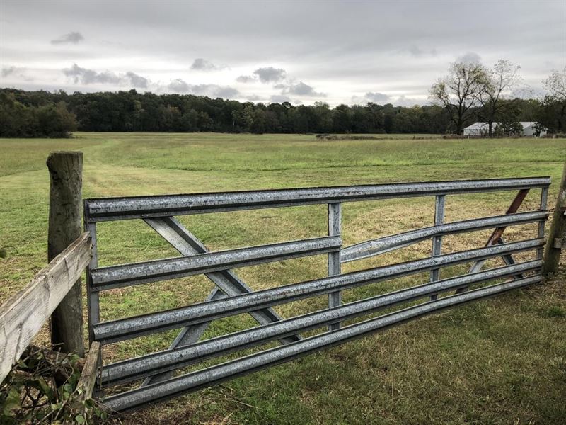 Dota Creek : Charlotte : Independence County : Arkansas
