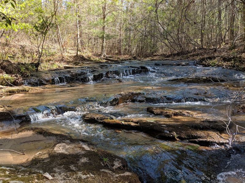 Creek Front, Asheville Nc, 10 Ac : Asheville : Buncombe County : North Carolina