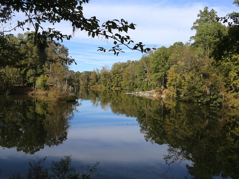 Lot 38 Red Eagle Drive : Lowndesboro : Lowndes County : Alabama