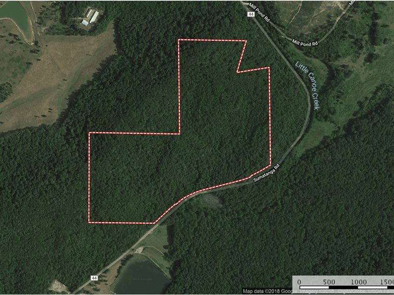 92 Acres Joins Camp Sumatanga : Gallant : Saint Clair County : Alabama