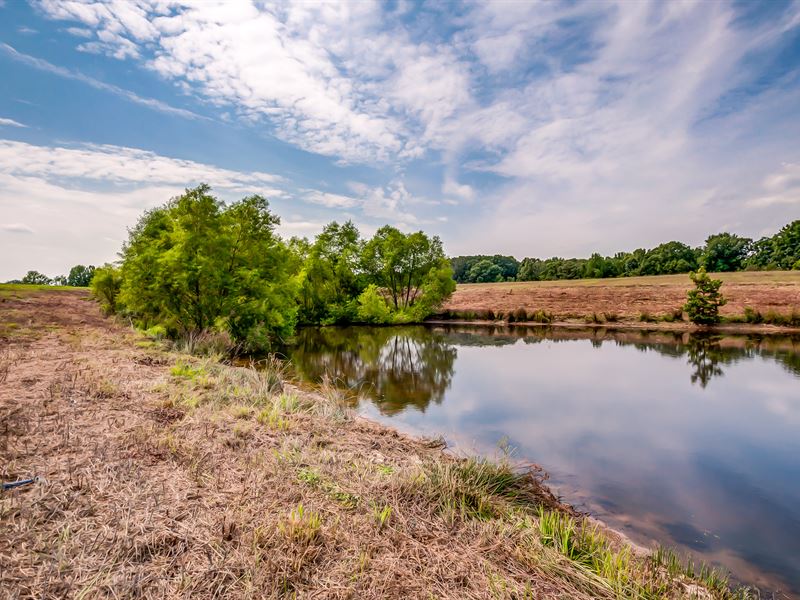 147 Acre Farm Land for Sale in Slayden, Dickson County, Tennessee