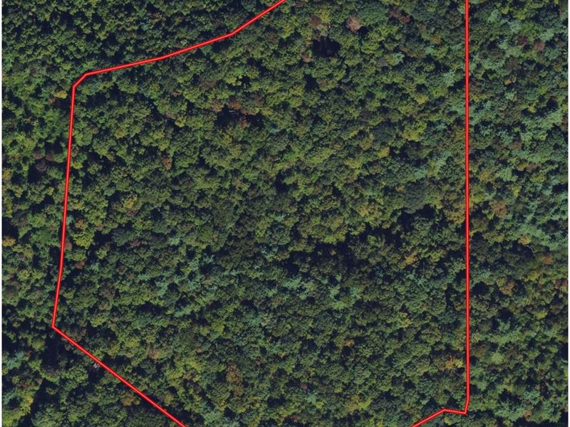 14.28 Acres Off Drag Strip Woods : Hudson : Caldwell County : North Carolina