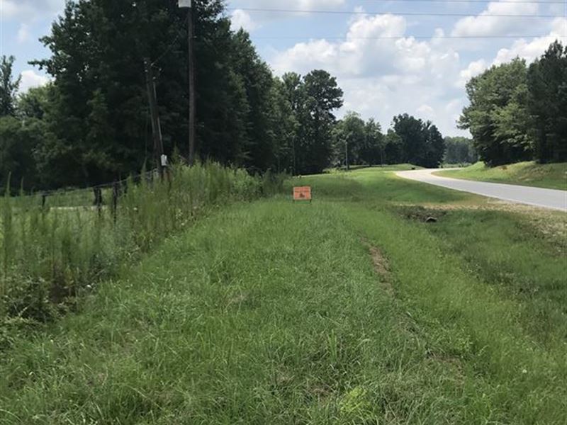 Chase Cattle and Timber Farm : Booneville : Prentiss County : Mississippi