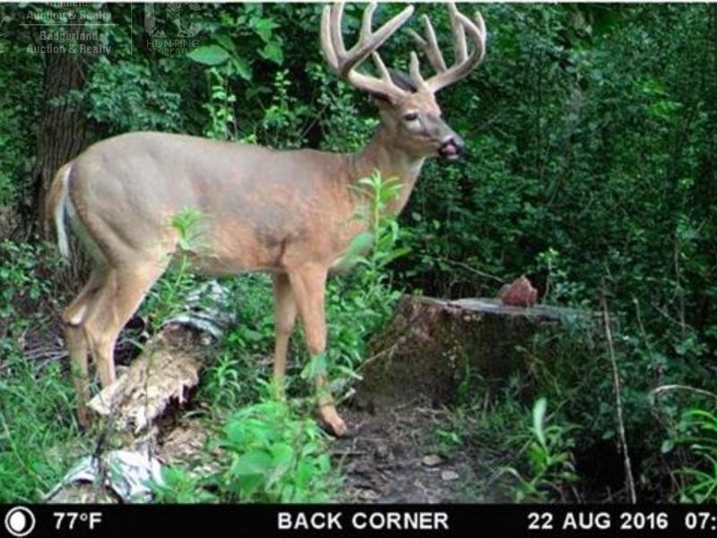 Wooded Acreage, Pasture / Tillable : Prairie Du Sac : Columbia County : Wisconsin