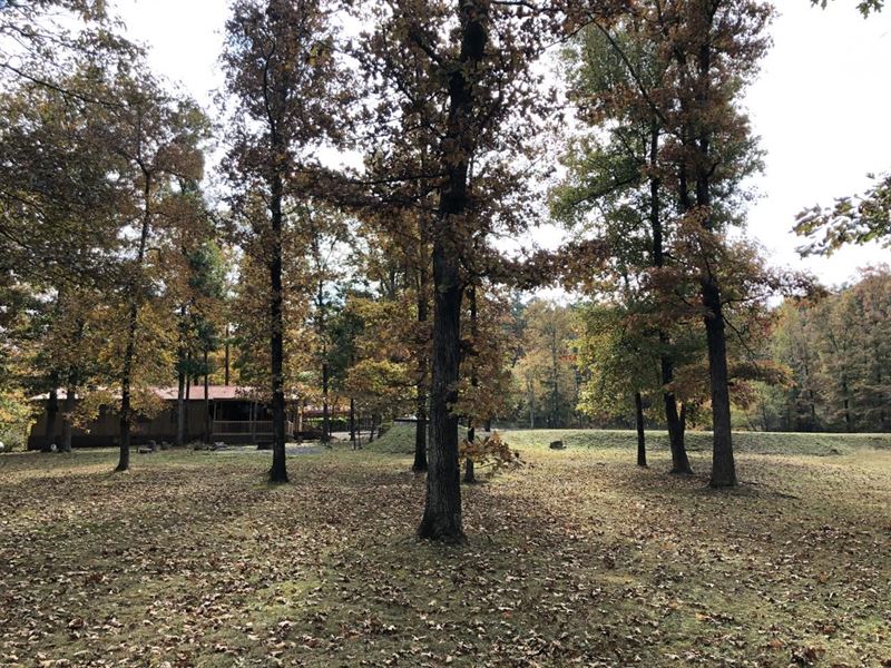 Linden Spur Retreat : Bee Branch : Van Buren County : Arkansas