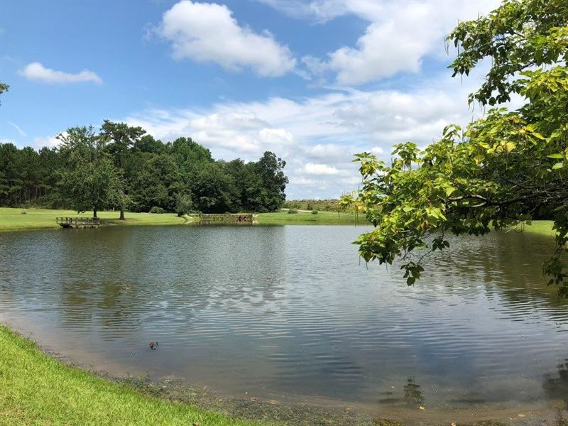 Spring Creek Farm Land for Sale in Bartow, Jefferson County,