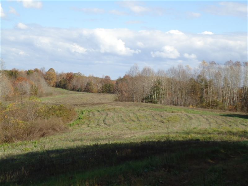 125+ Ac, Pasture, Creeks, Pond : Red Boiling Springs : Clay County : Tennessee