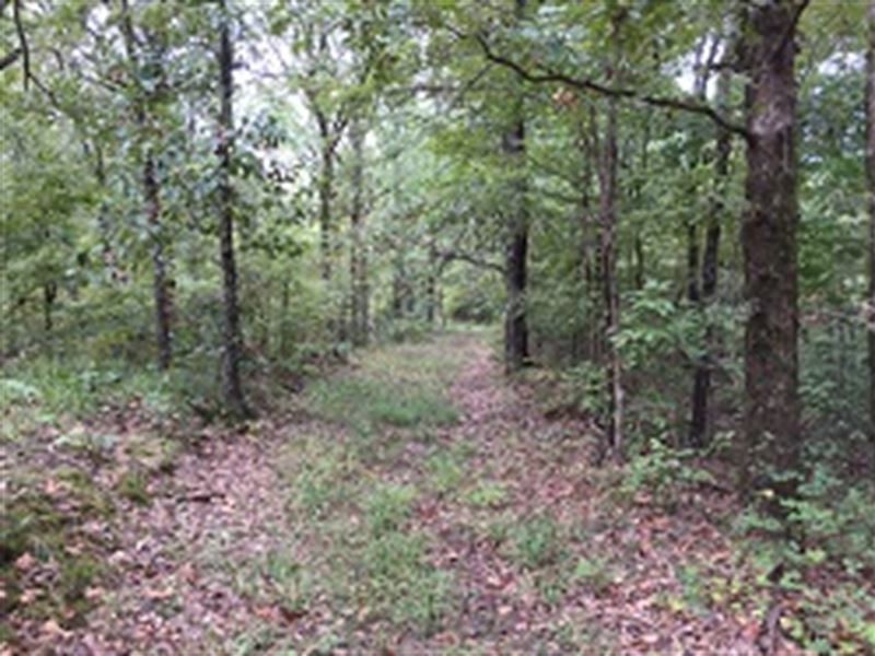 Hunting & Recreational Land : Cherry Valley : Cross County : Arkansas