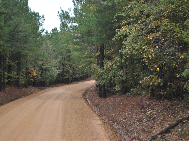 McCool 197 : McCool : Attala County : Mississippi