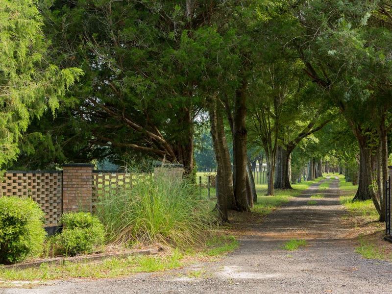100 Acres 2 Homes, Red Iron : O'brien : Suwannee County : Florida