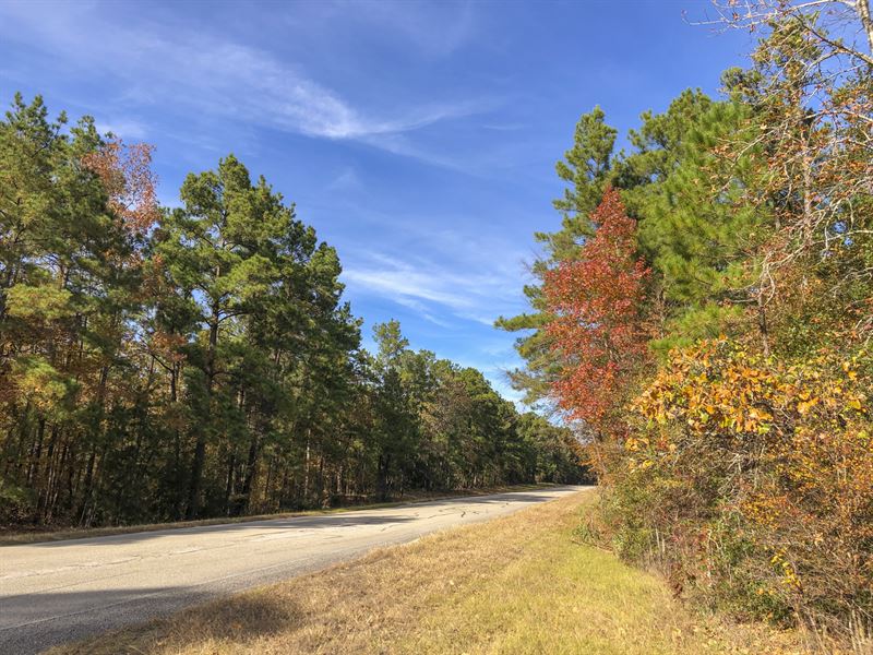 21 Ac New Waterwood Tr 6 : Huntsville : San Jacinto County : Texas