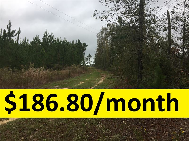 Owner Financed with Well & Septic : Rockledge : Laurens County : Georgia