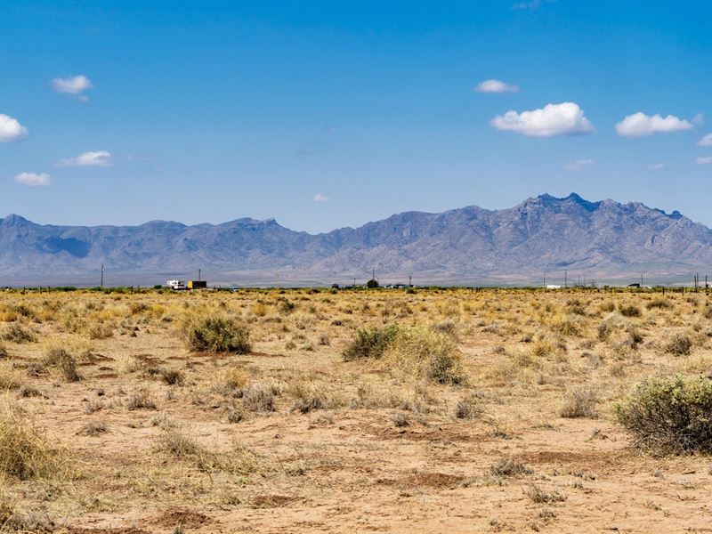 Homesite with Electricity : Deming : Luna County : New Mexico