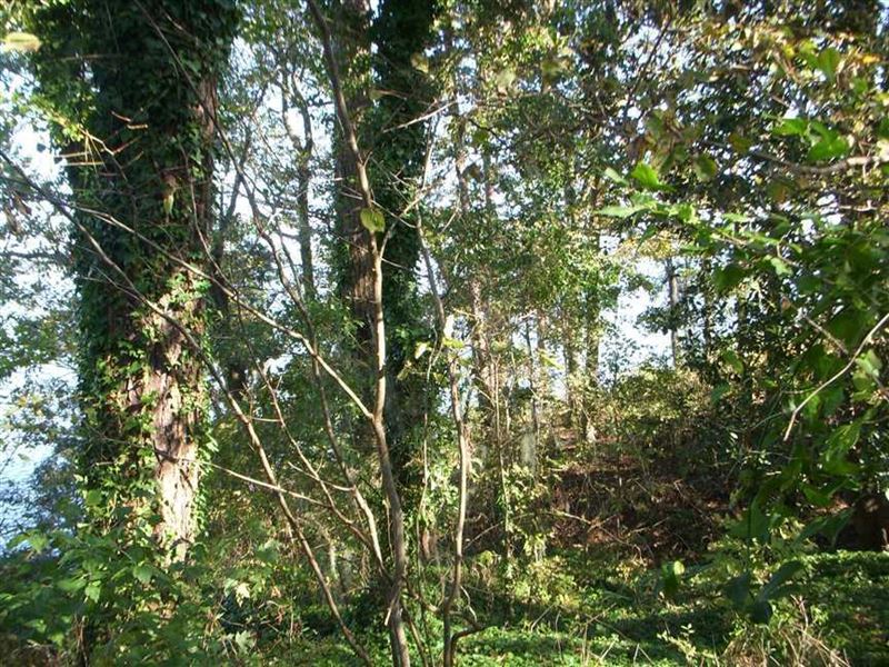 Waterfront Lot in Indian Hills S/D : Abbeville : Henry County : Alabama