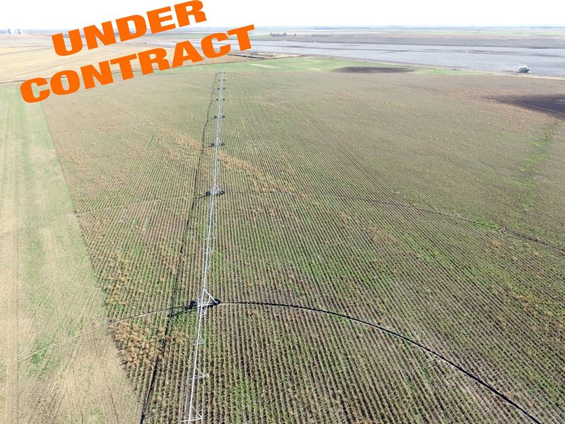 Irrigated Cropland Auction Stafford : Macksville : Stafford County : Kansas